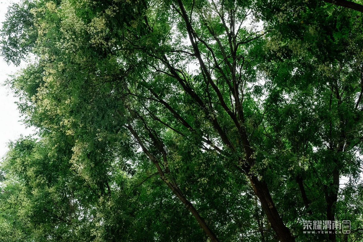 _Z5A7990.jpg