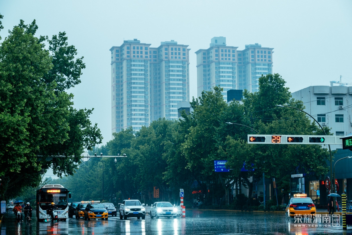 _Z5A8141.jpg