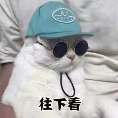 095854za8fybrrl14aunvd.jpeg