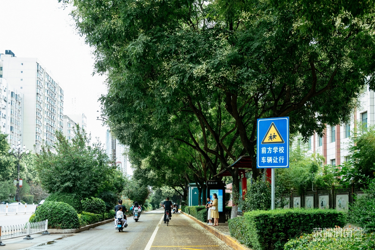 _Z5A8688.jpg