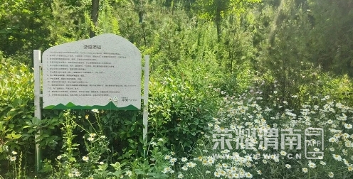 ΢Žͼ_20240726102321.png
