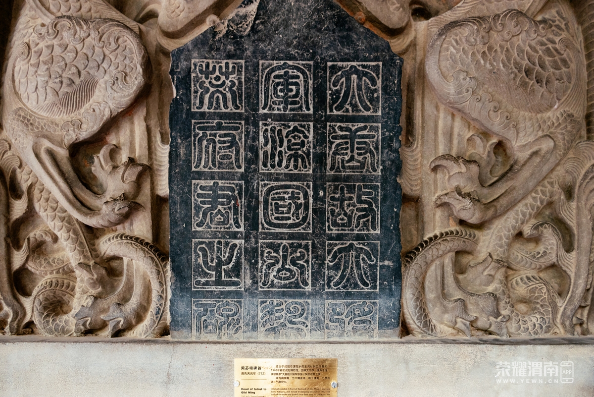 _Z5B0172.jpg