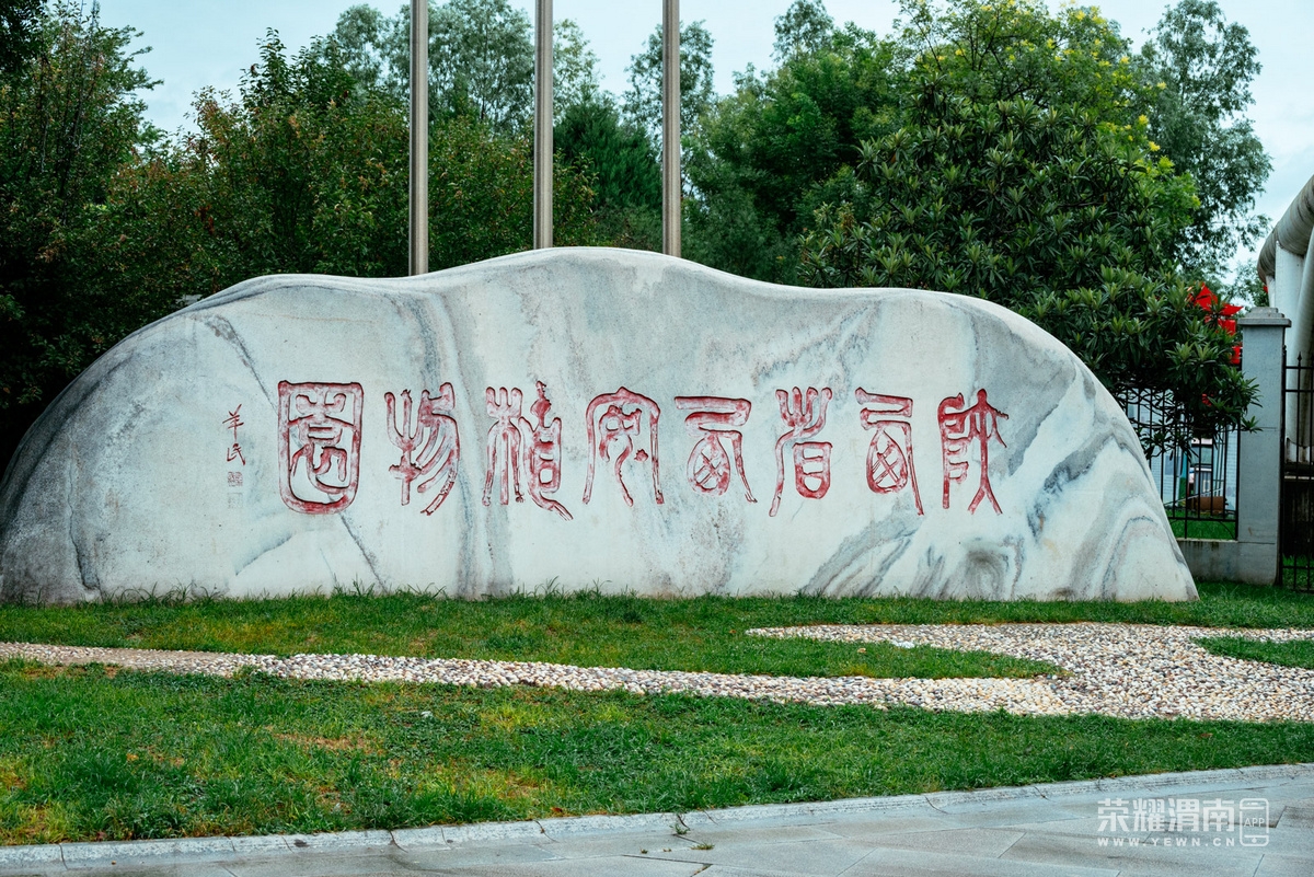 _Z5B0247.jpg