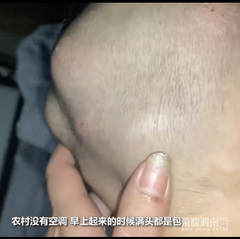 145640cc2q9crxqqhvq628.png