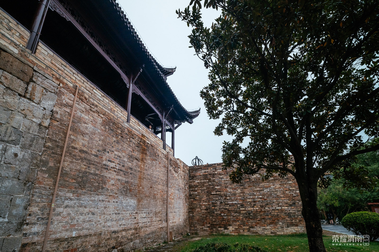 _Z5B6379.jpg
