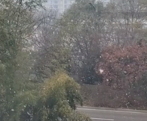 ΢Žͼ_20241212094006.png