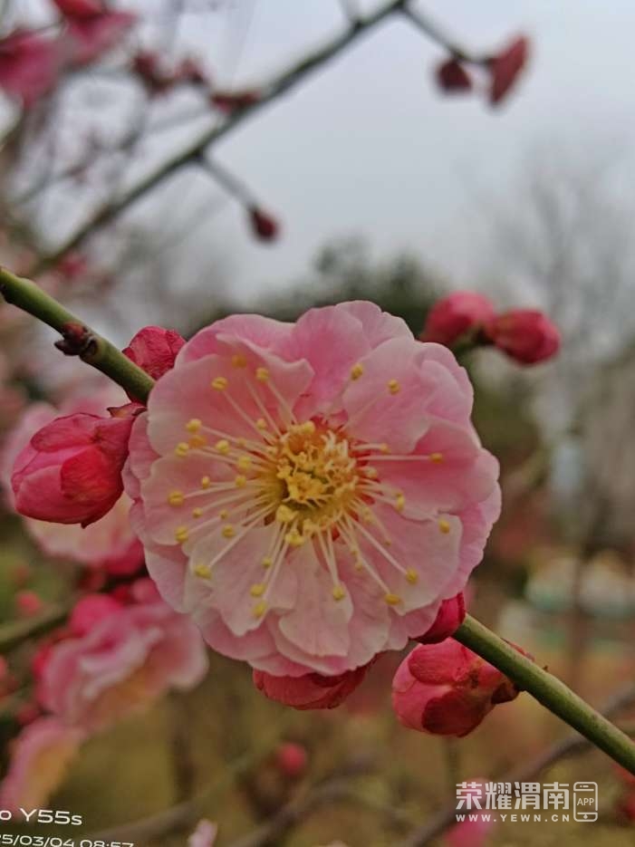 20250304111316front2_0_284286_Fpawl8xarGLh1YA-horgIP5Ig1by.jpg