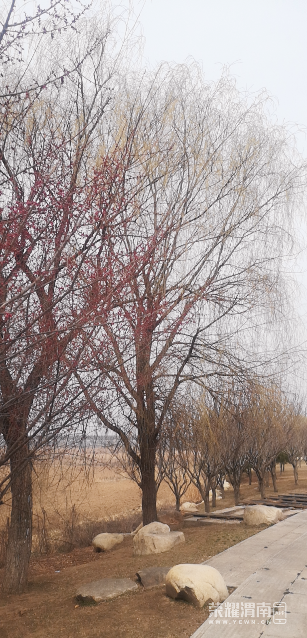 20250308113117front2_0_290576_FvvotbftZaLZXpKjppqY5hb8Ra5E.png