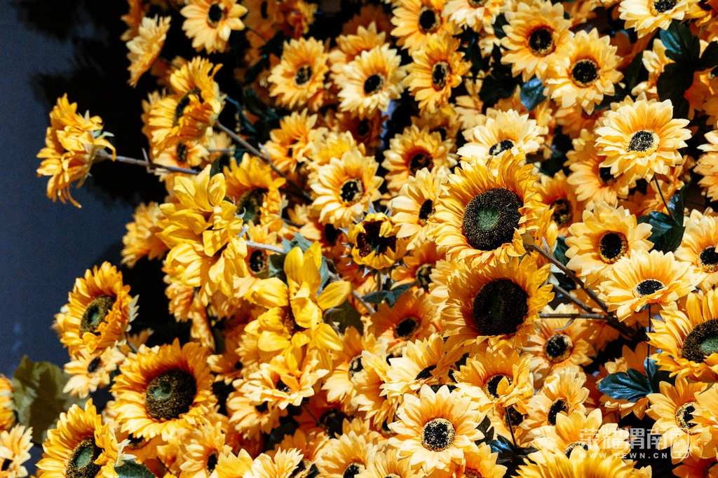 _ZFA0662.jpg
