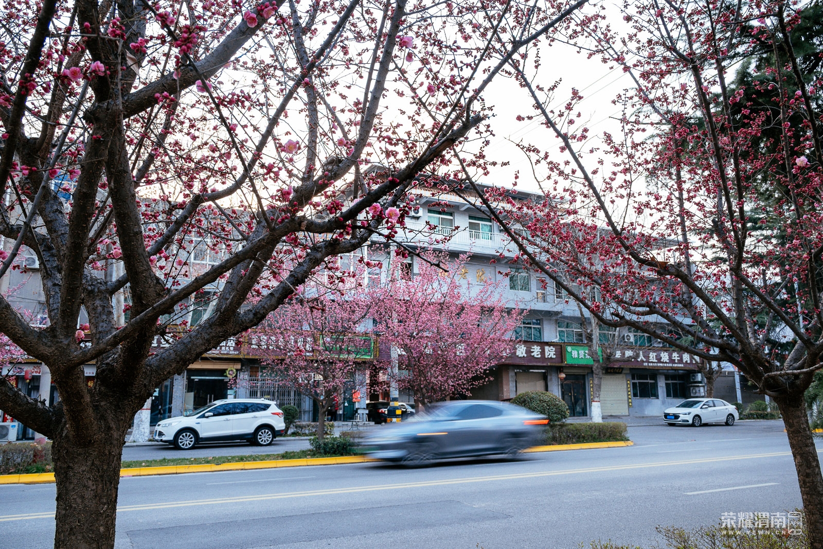 _ZFA0702.jpg