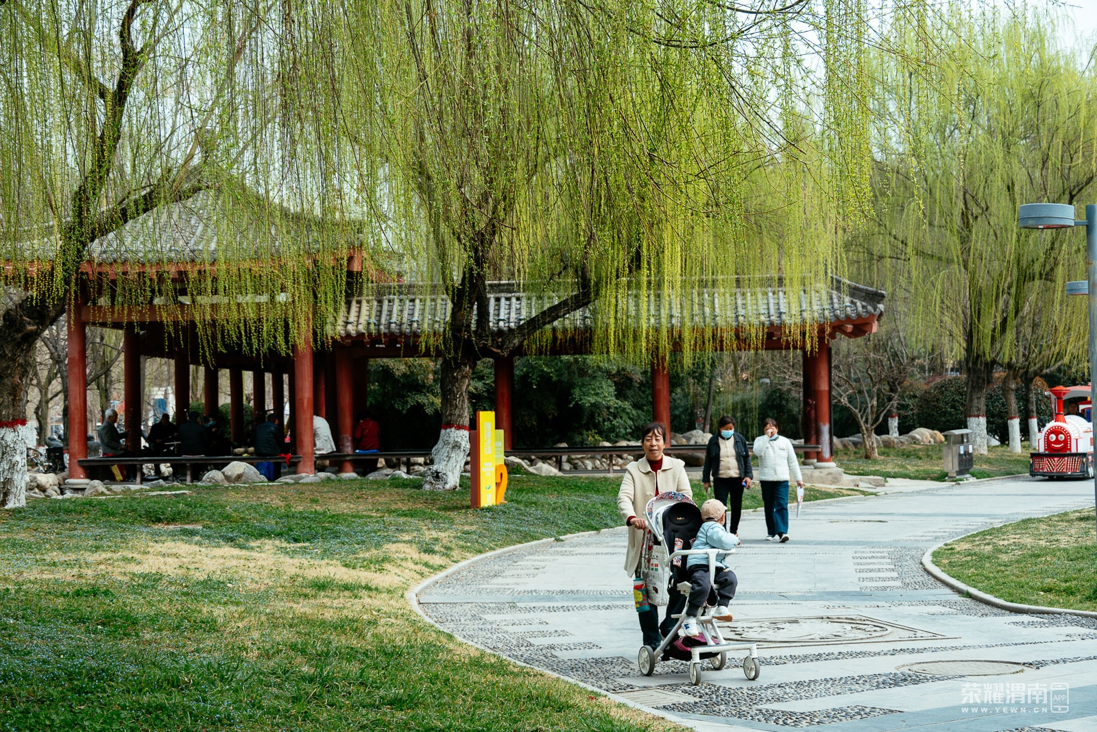 _ZFA0816.jpg