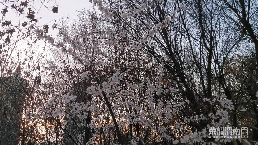 20250313175808front2_0_304160_FgMmurxFF71Gunmgl6tp6PLrU_ua.jpg