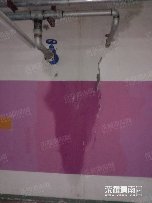 171357ki6cke8ws8cxvkre.jpg