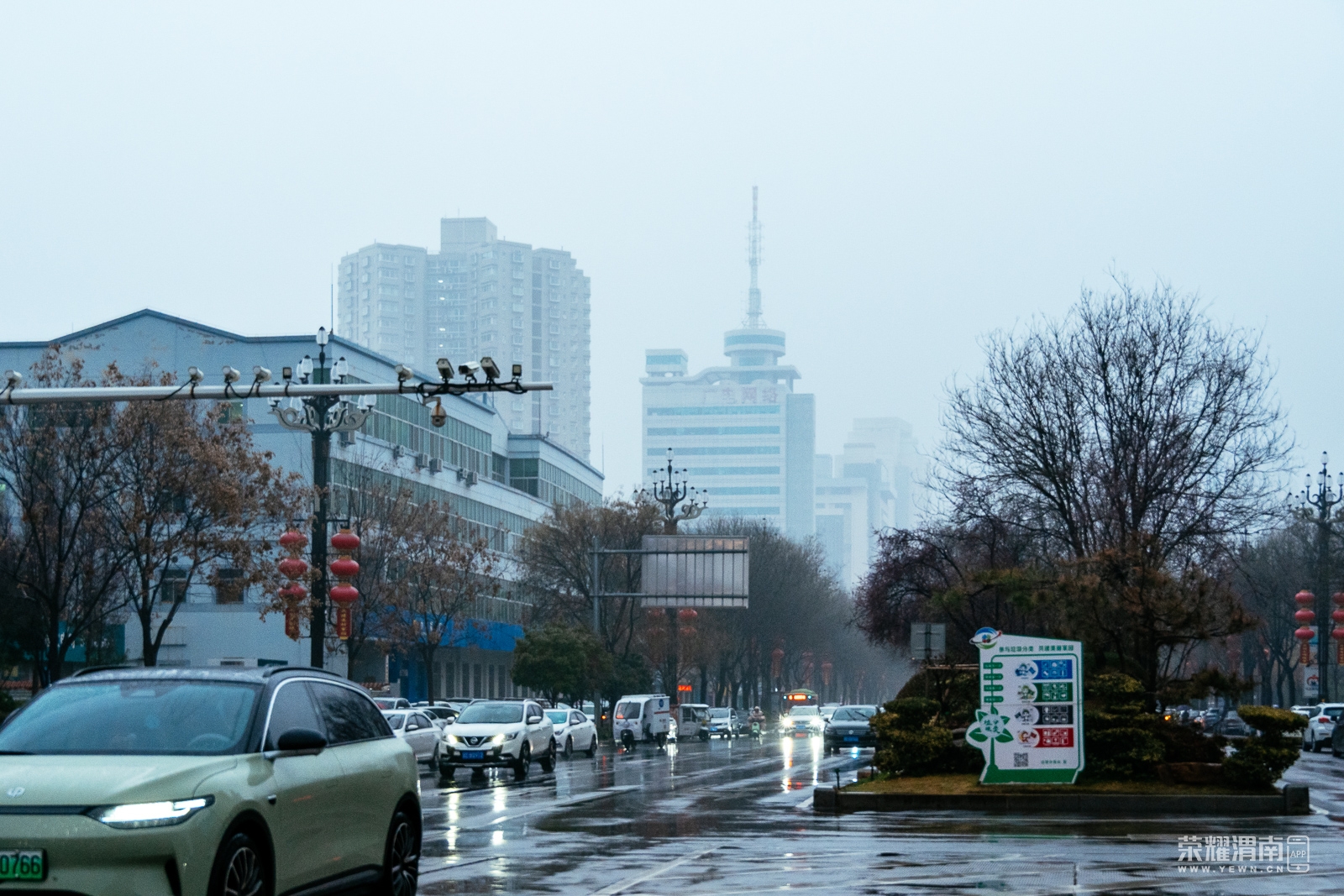 _ZFA0849.jpg