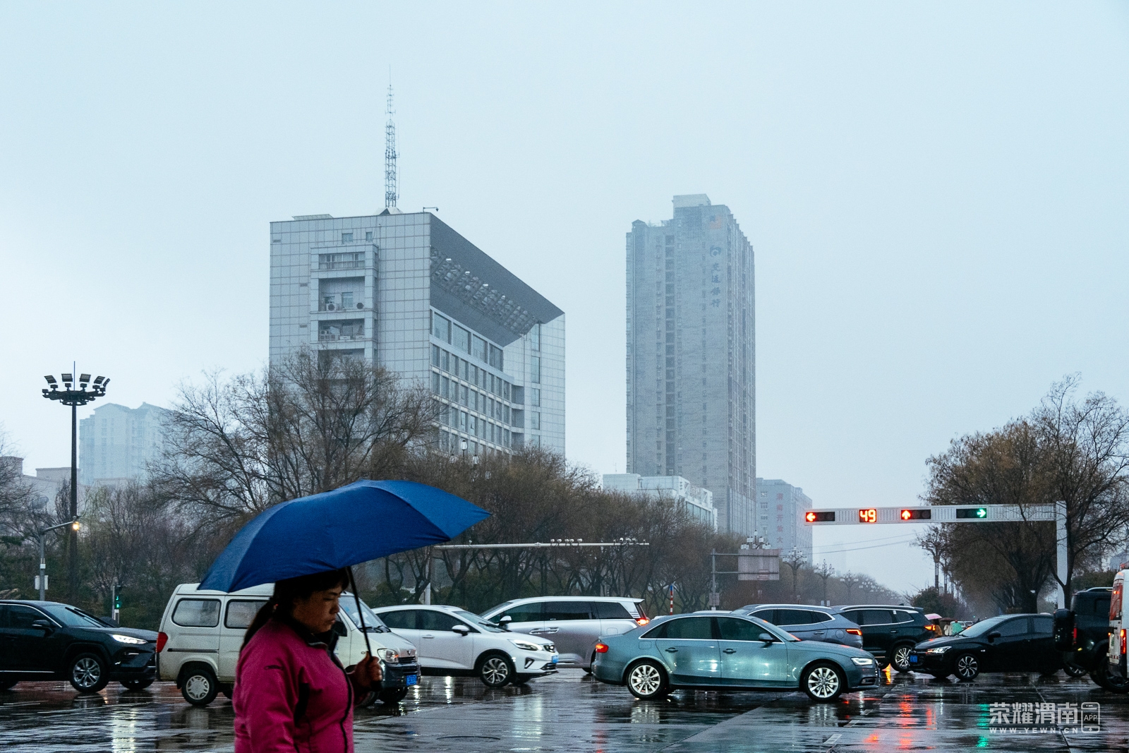 _ZFA0847.jpg