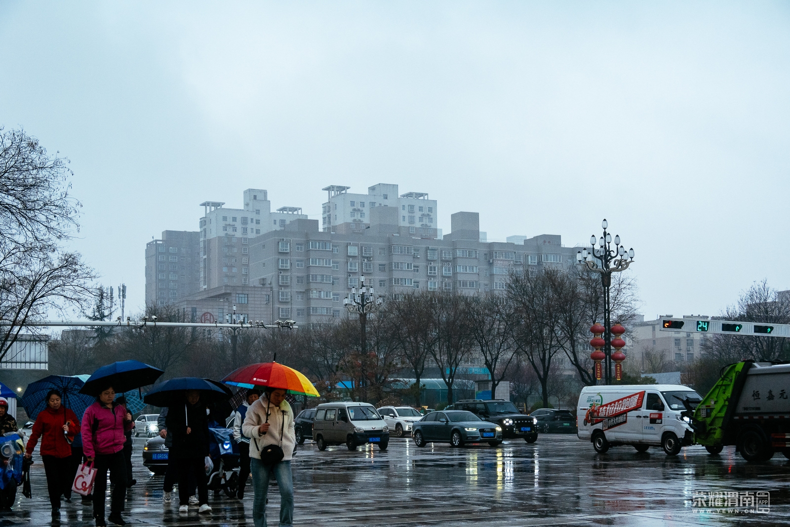 _ZFA0846.jpg