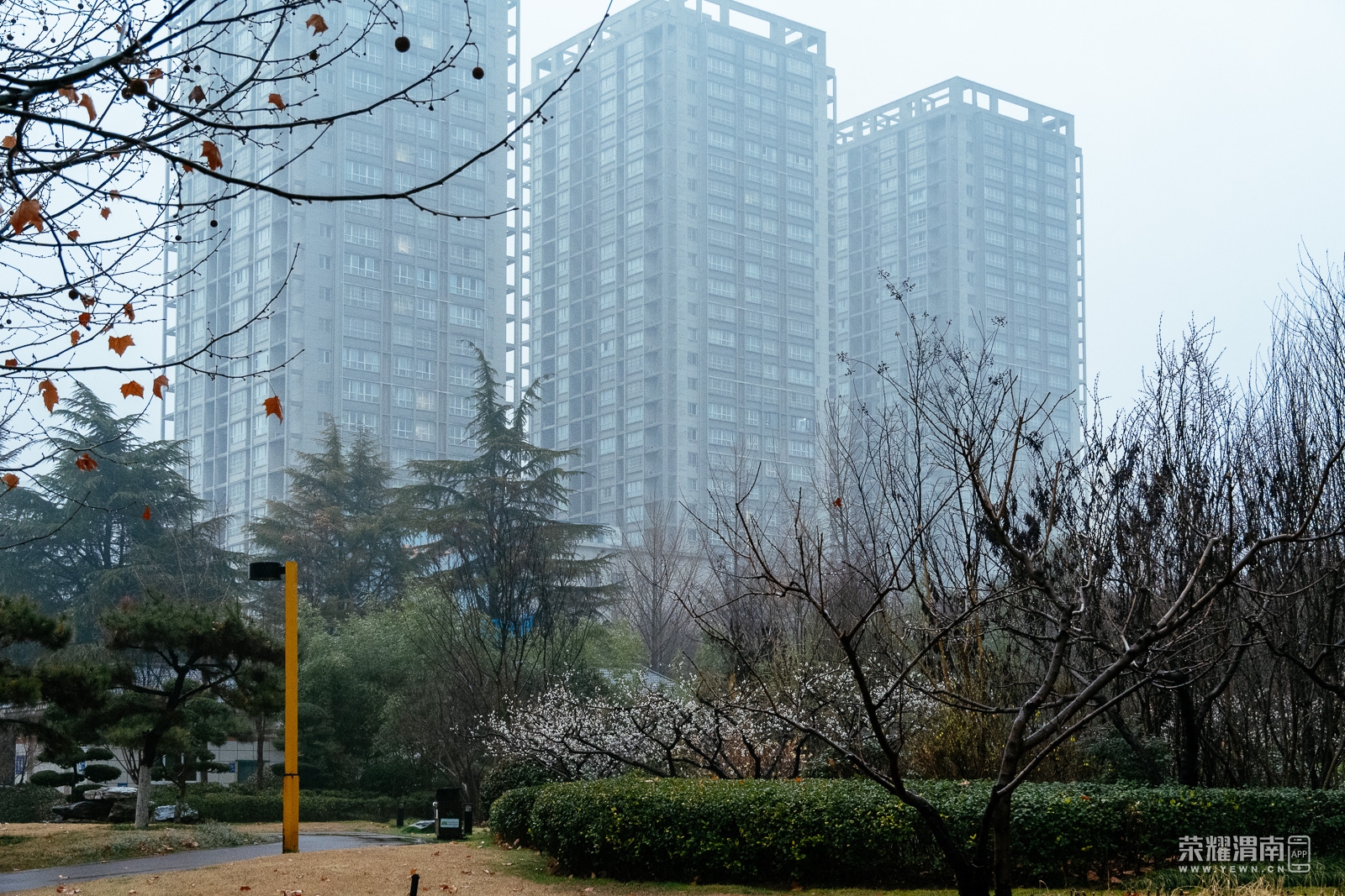 _ZFA0855.jpg
