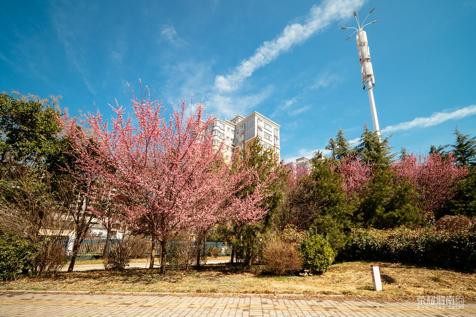 _Z5C3144.jpg