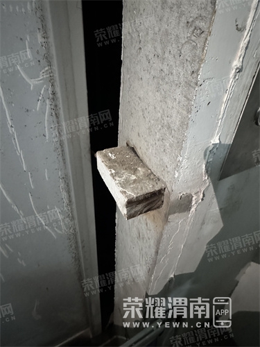 20250320130558mini_bbs_wap_301756_FpmR63KWsy2hje_A2lW8gD8jPzWE.jpg