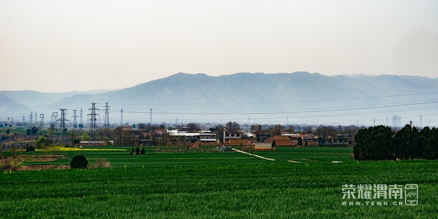 _ZFA2897.jpg