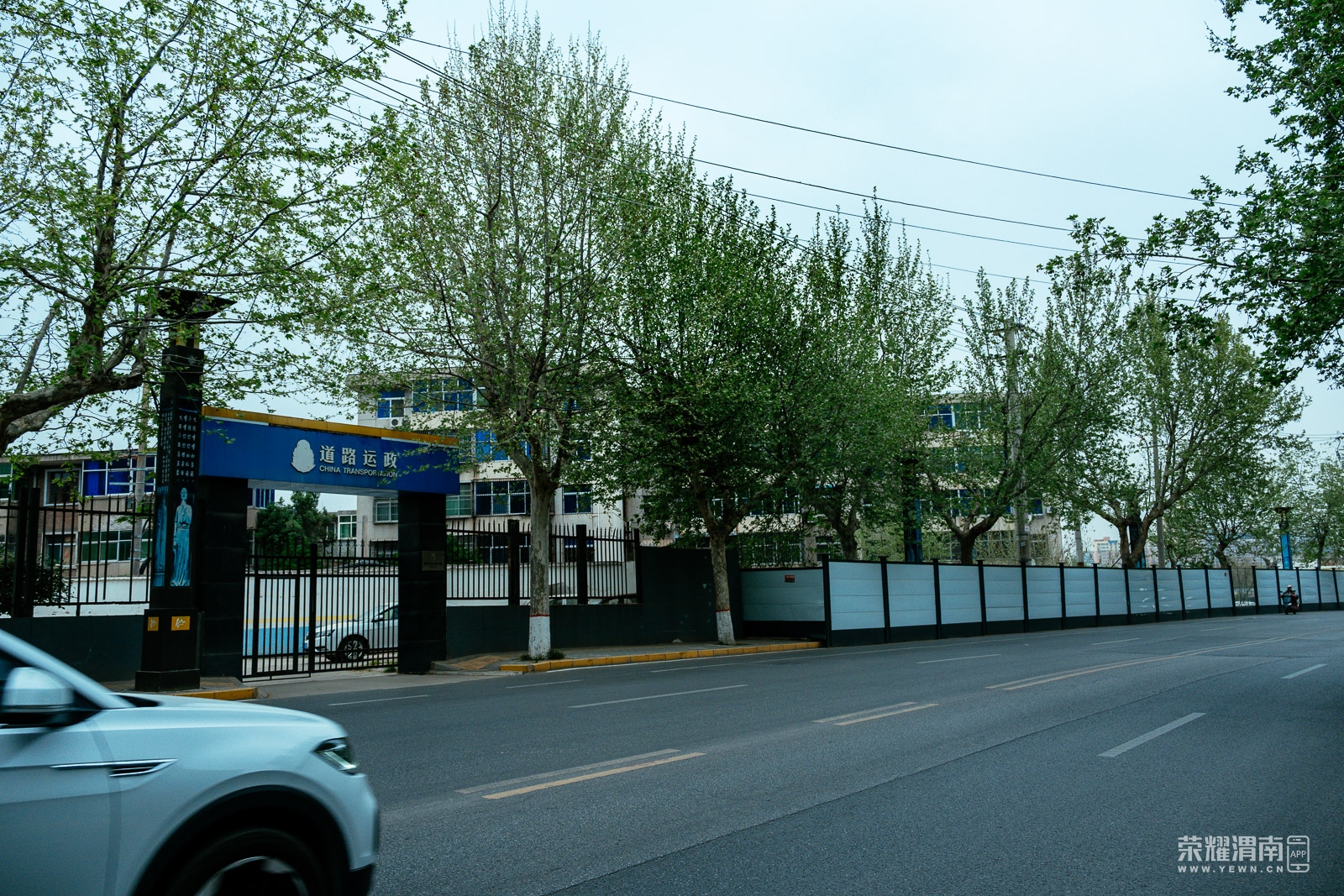 _ZFA3319.jpg