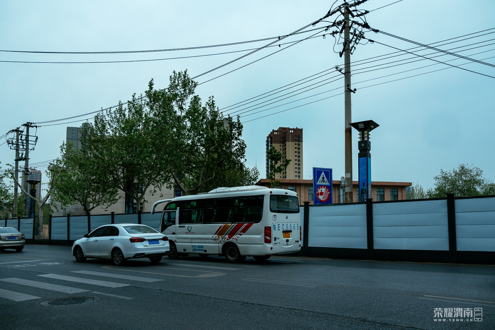 _ZFA3325.jpg
