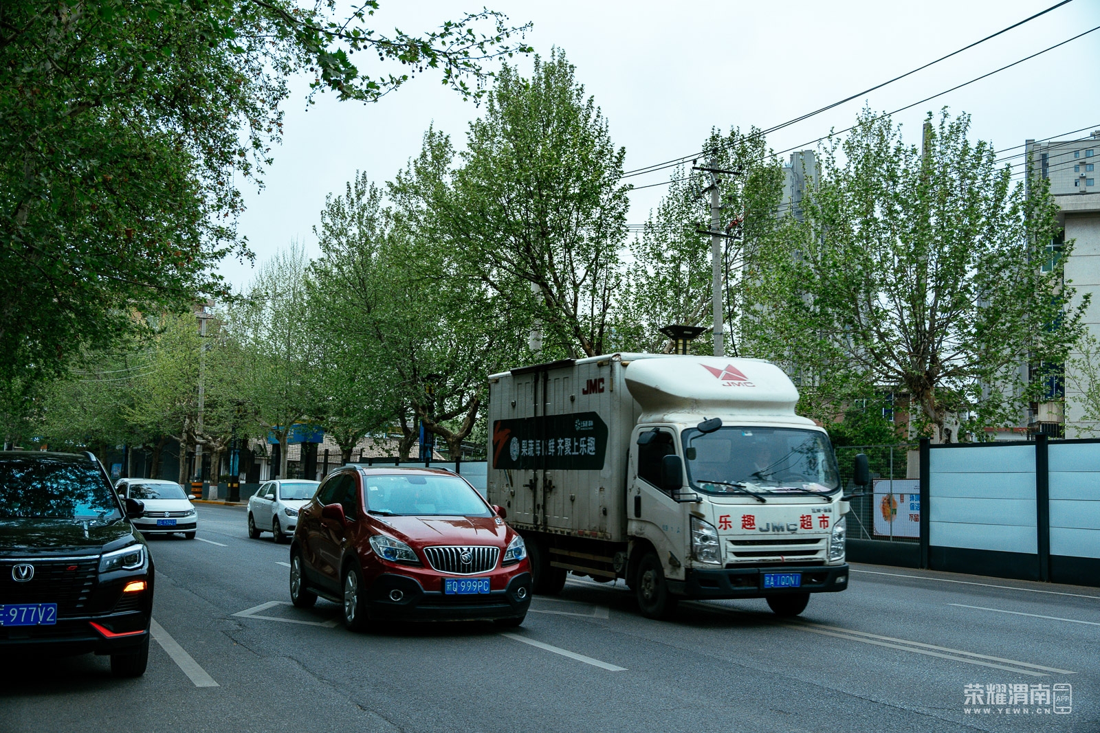 _ZFA3335.jpg