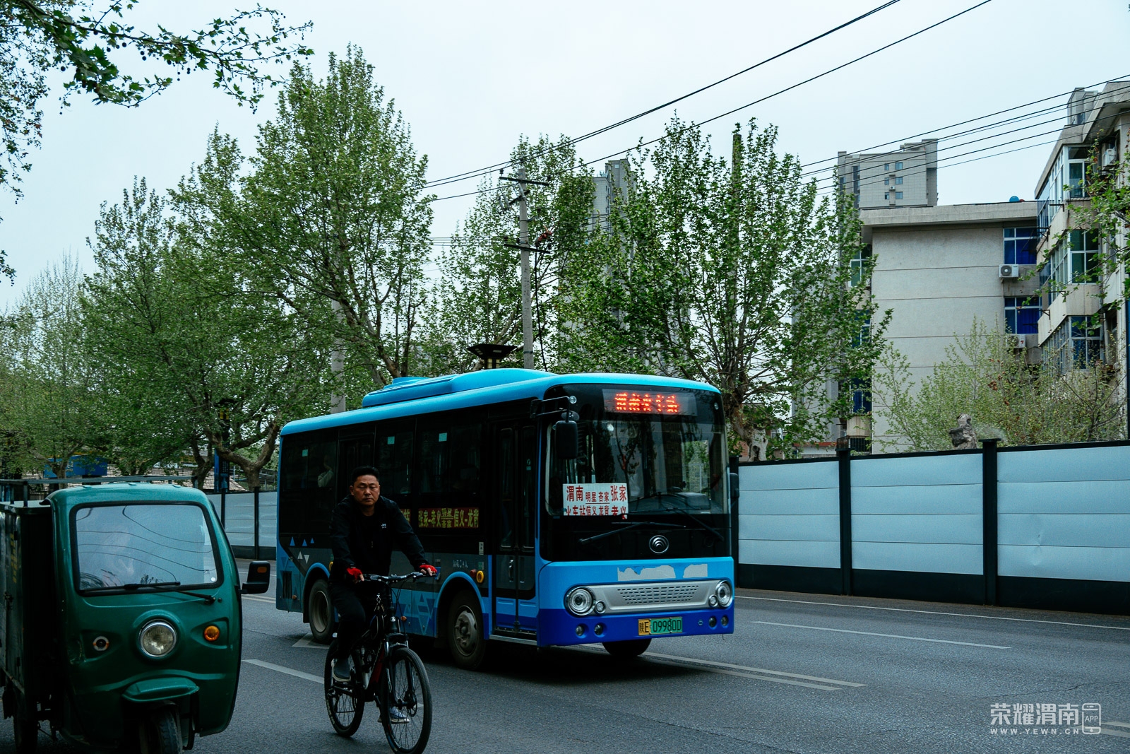 _ZFA3331.jpg