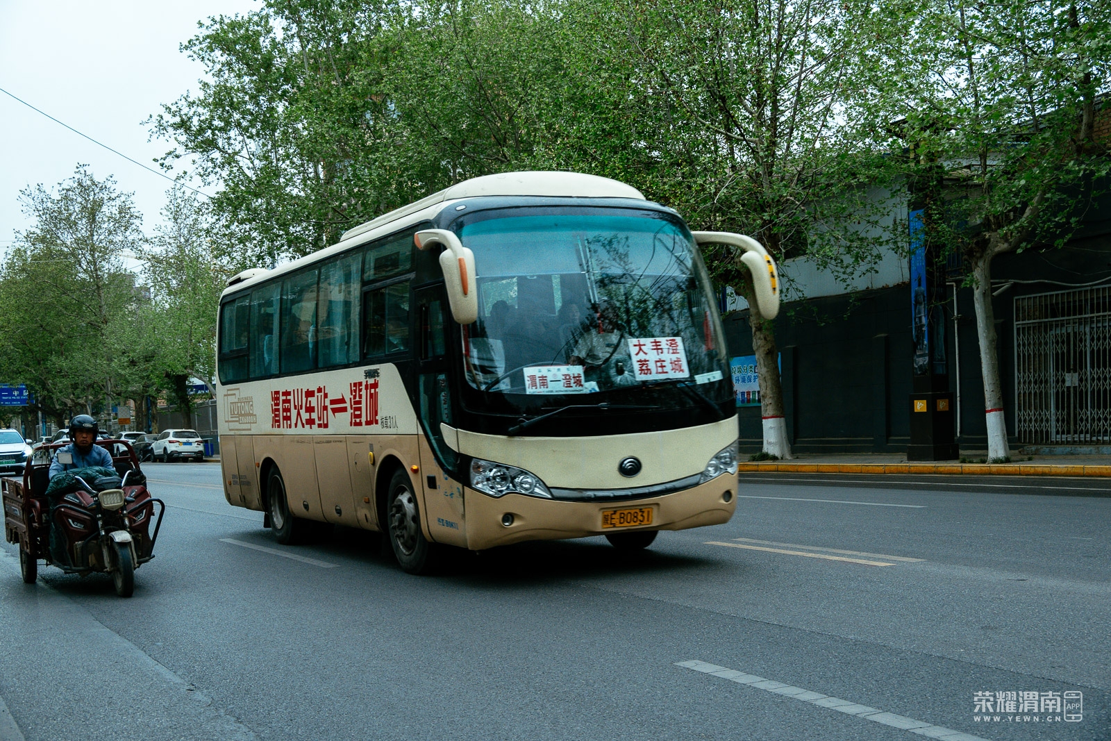 _ZFA3349.jpg