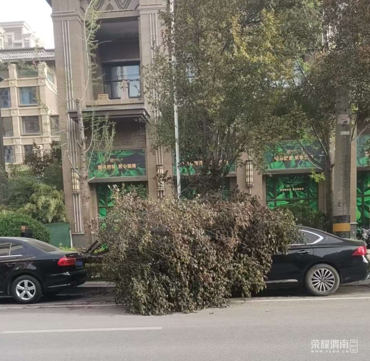 ΢Žͼ_20250412161641.png