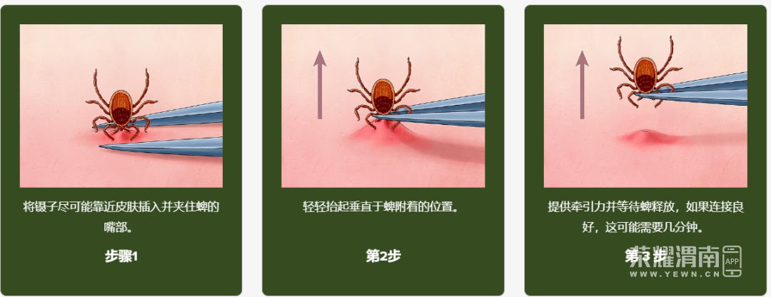 150145ongd3xnswahhs38a.png