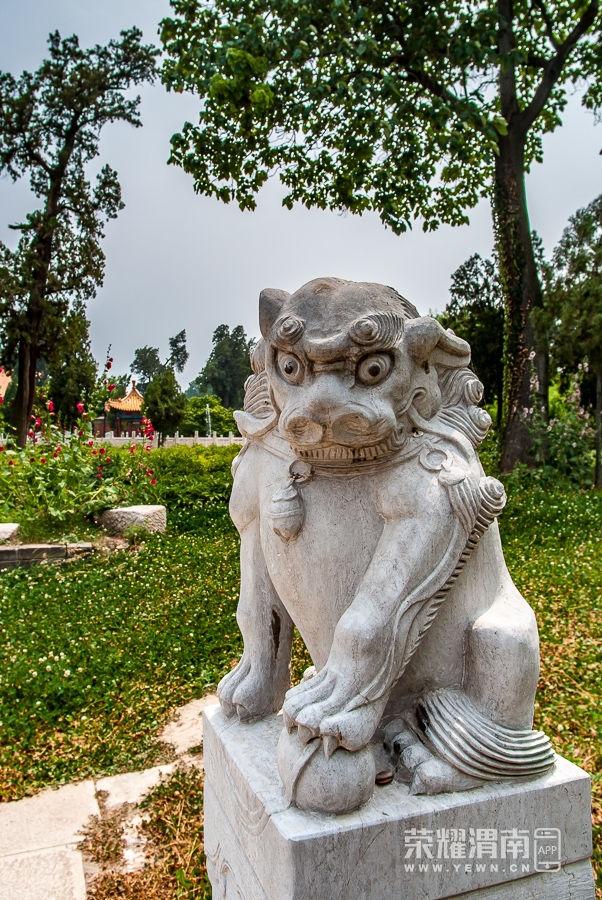 _IGP7128.jpg