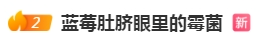 142426uo0nmoktam7n8mn8.png