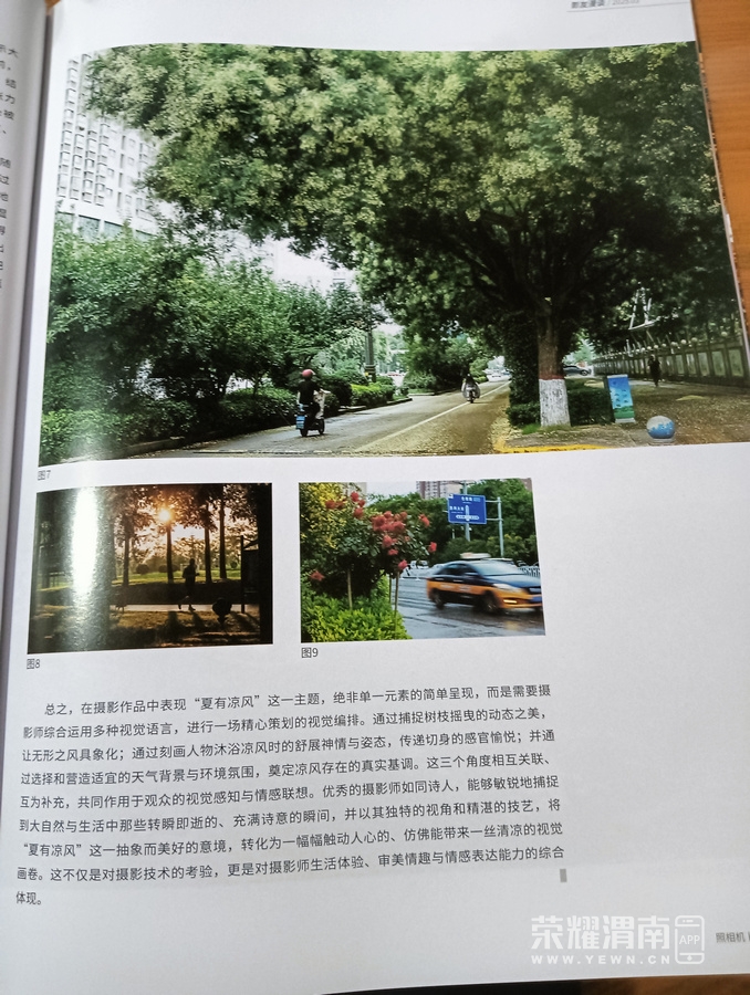 IMG20250509120645.jpg