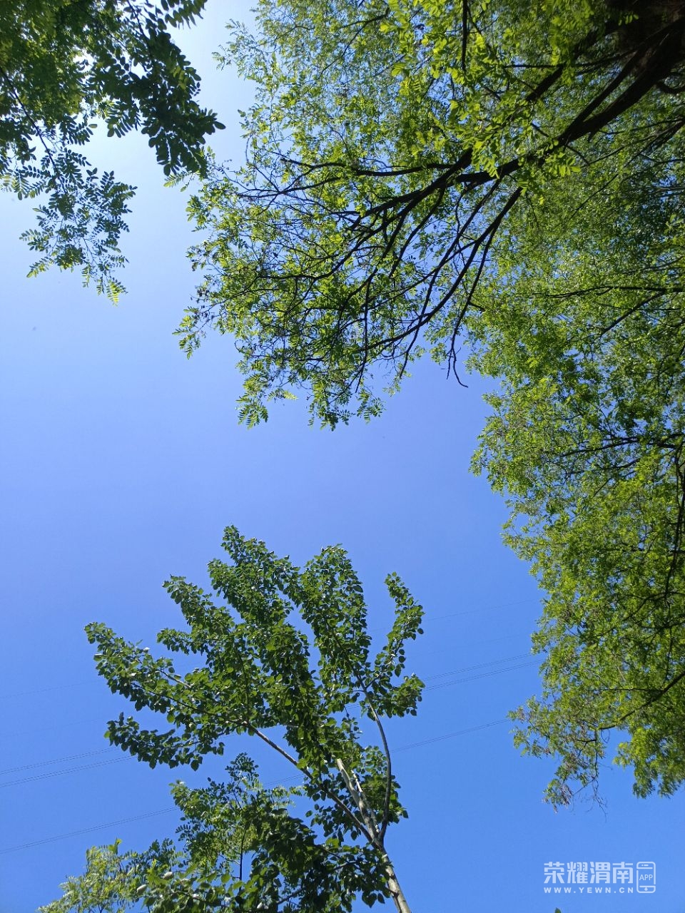 20250512180525front2_0_275988_Fm_dtYckF4unQPaH3u0HA7PQ5Vqr.jpg