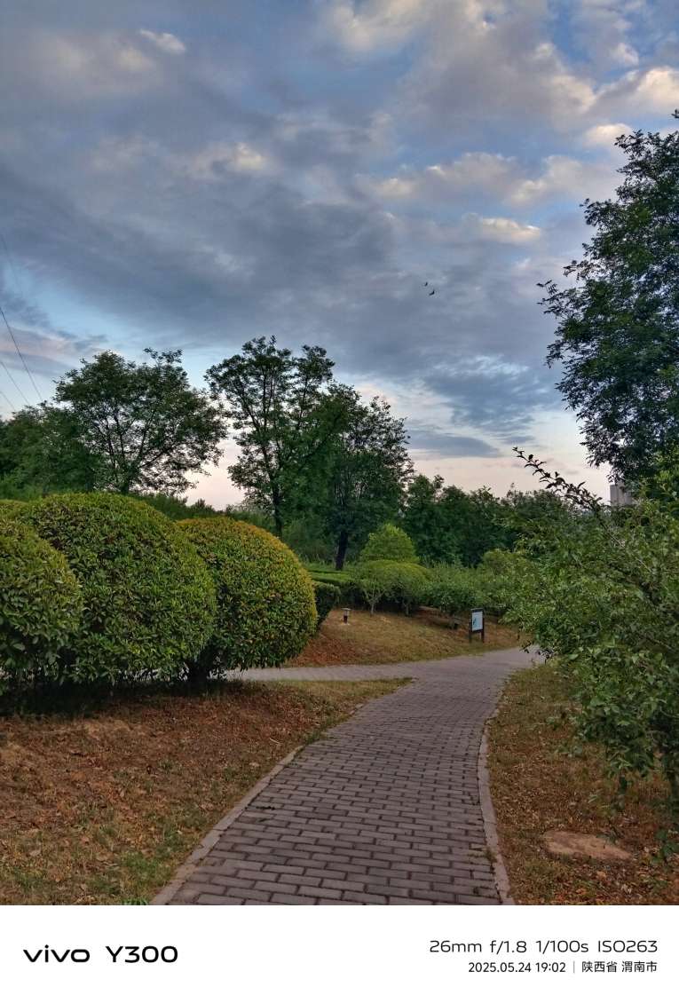 20250524195414front2_0_284286_Fo3yHXF3IDXet-QpfwNrs7Rd8zL3.jpg