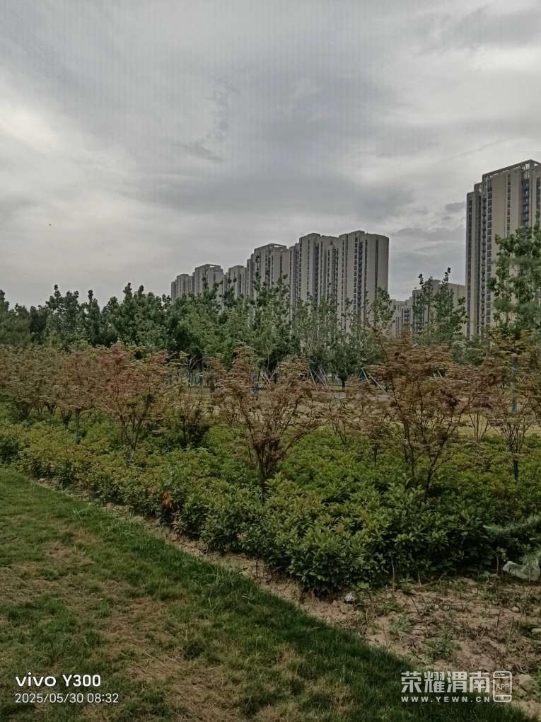 20250530140348front2_0_284286_FravCVU1aVDV_pB6YGROkYMSdsT-.jpg