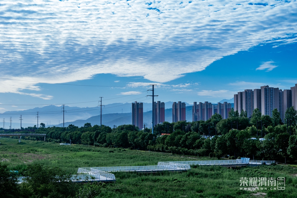 _ZFA9085.jpg