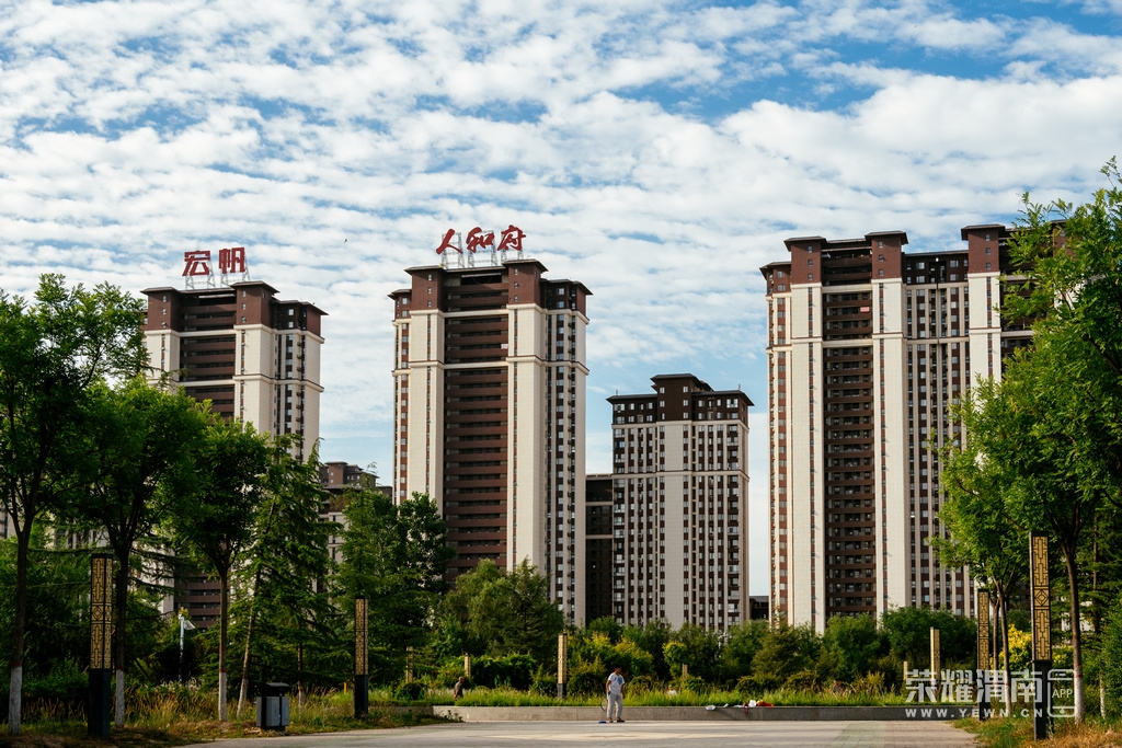 _ZFA9099.jpg