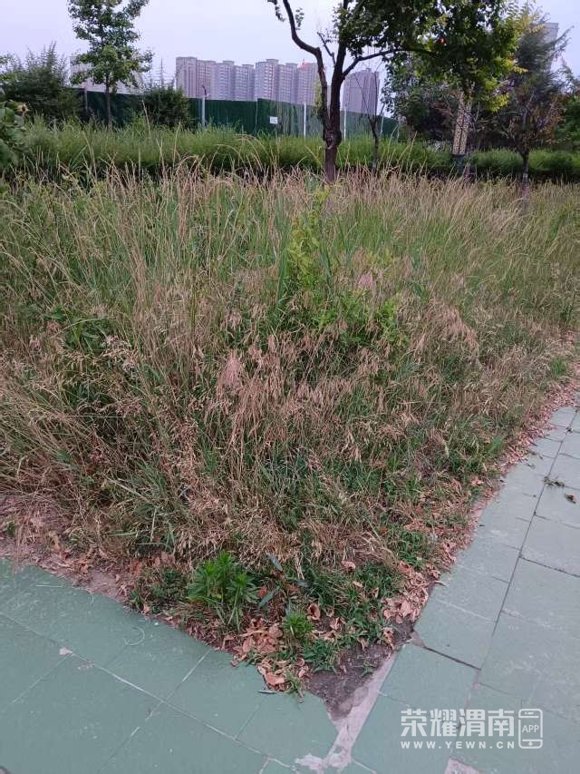20250619202745front2_0_250881_FkjeB1XEtXiksi0y8UFjxK_An2W8.jpg