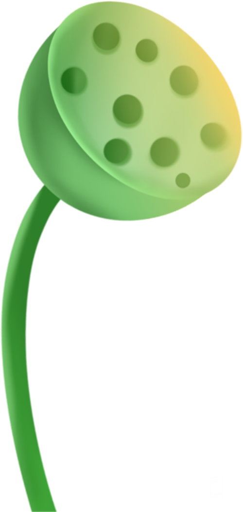 161942s30883b3z368mo8k.png