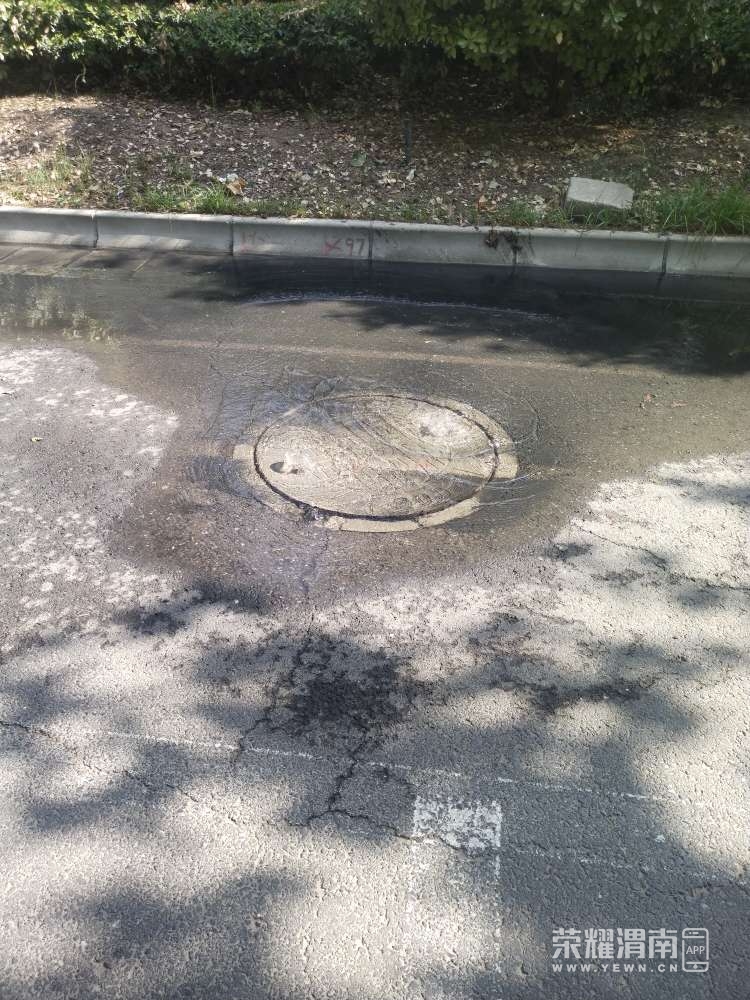 20250706090604front2_0_255430_FjPk6IinAwZiZbJdjTMqeNVEH5i9.jpg