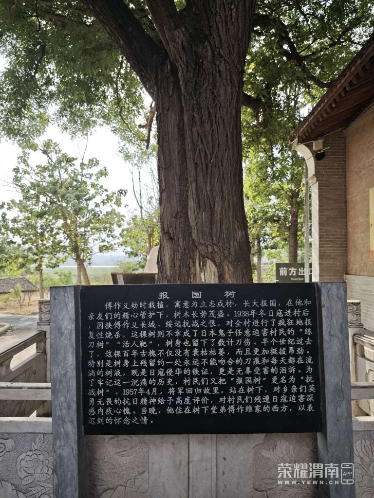 20250727225824front2_0_273616_FvCX1dG-P6Fb0sKr0oUkkhUW6huO.jpg