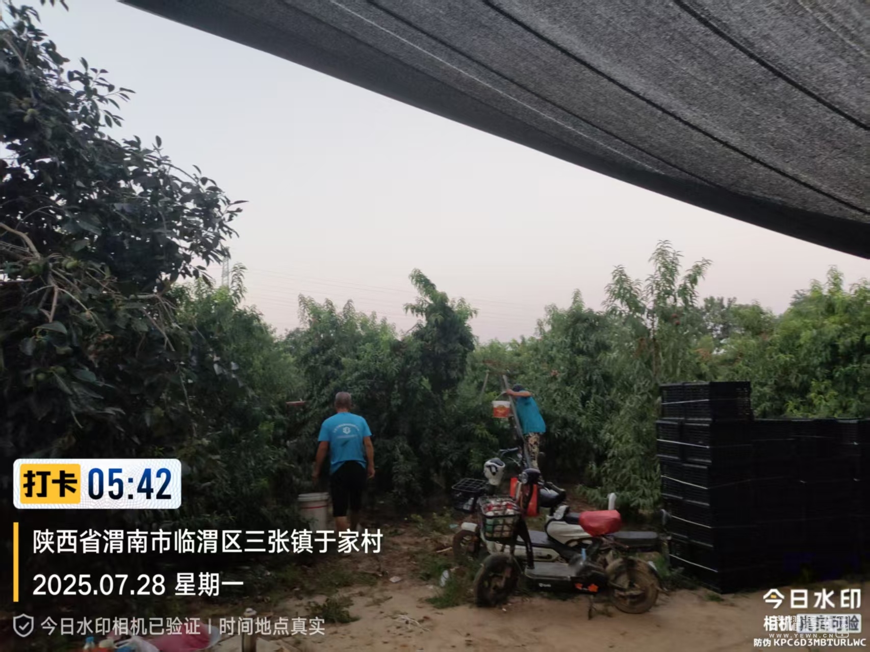 215501nlojo07ltoo81znl.jpg