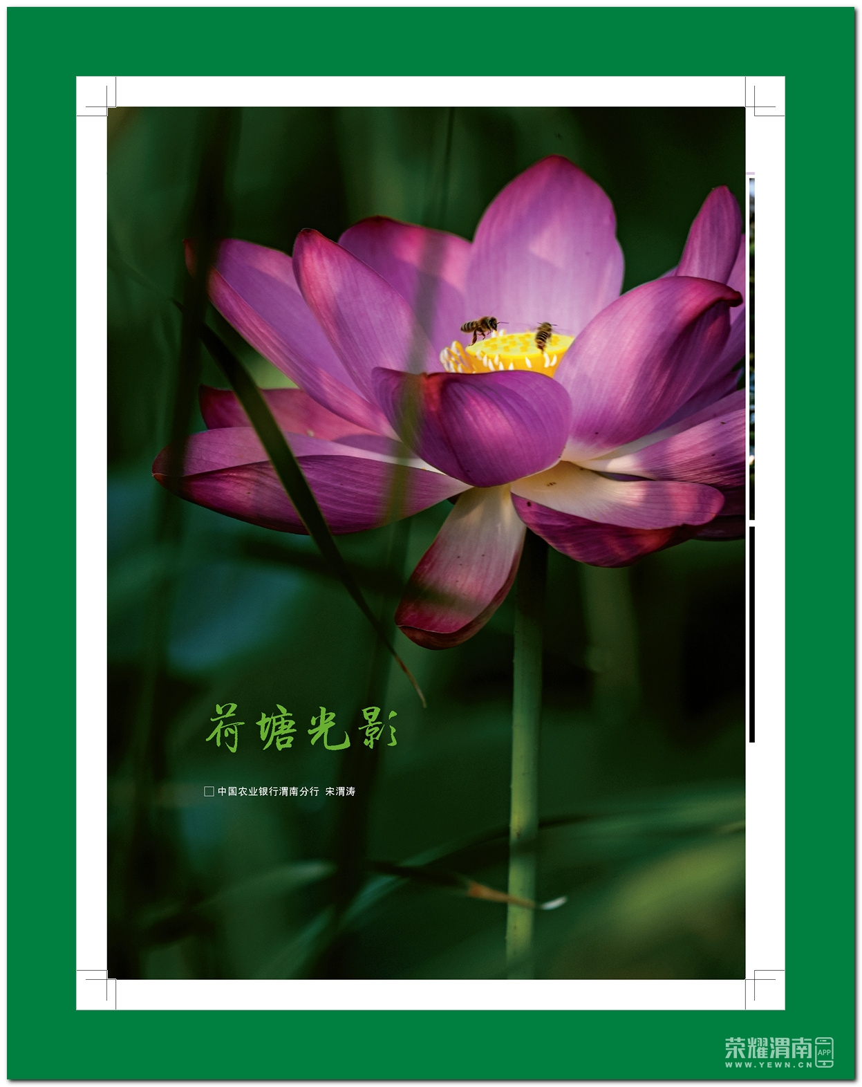 йÿ8# (1)_ҳ_90.jpg