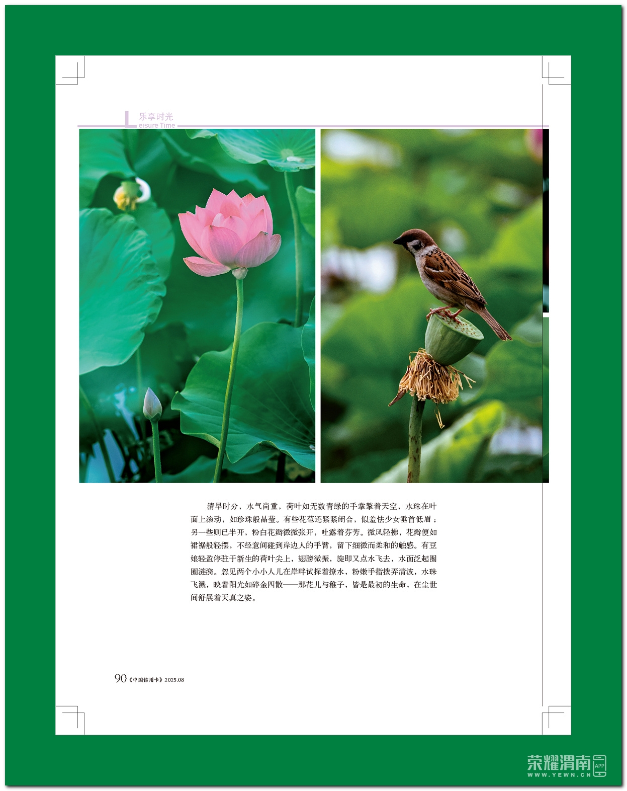 йÿ8# (1)_ҳ_92.jpg