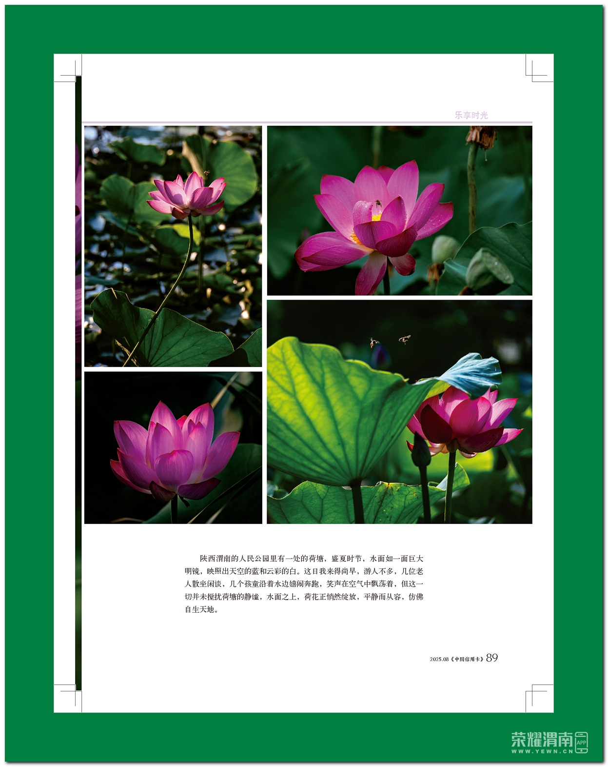 йÿ8# (1)_ҳ_91.jpg
