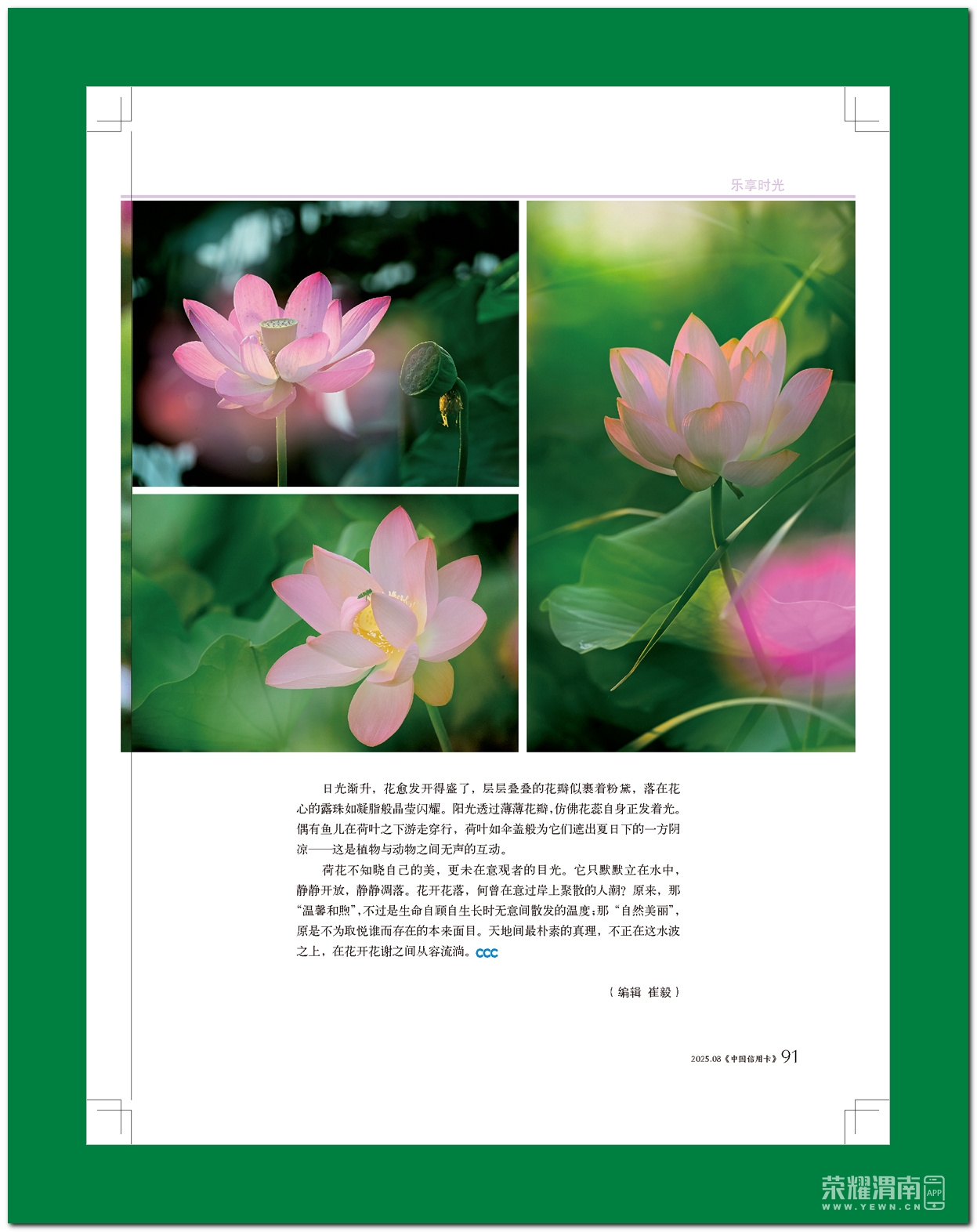 йÿ8# (1)_ҳ_93.jpg