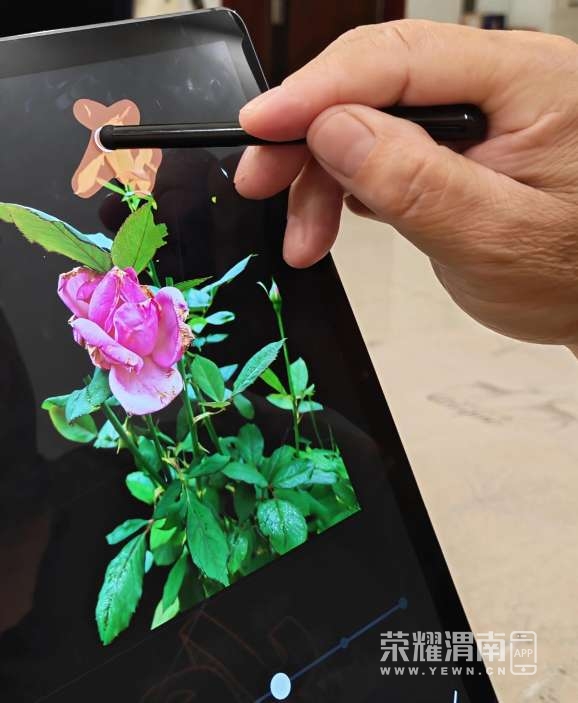 20250925214601front2_0_161040_Fkf5QxbD9K6E0bOOhOGGGpl-e0BV.jpg