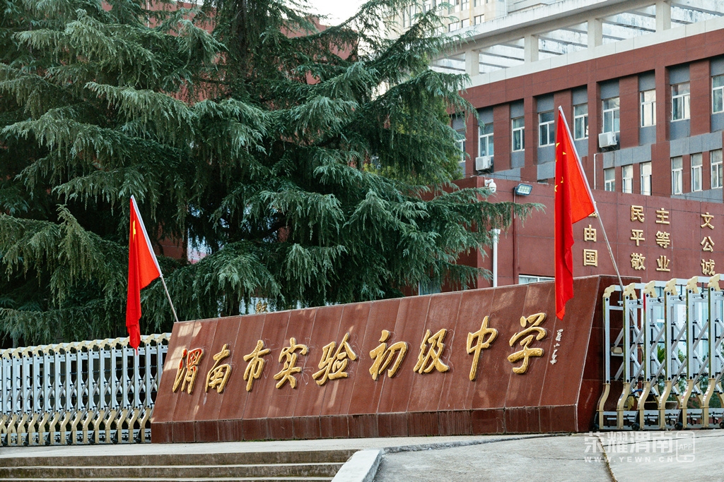 _ZFC1956.jpg